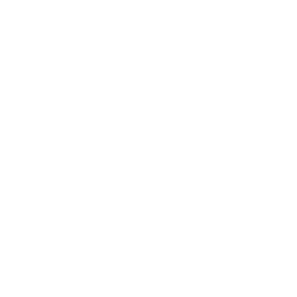 Magic Mirror Circus